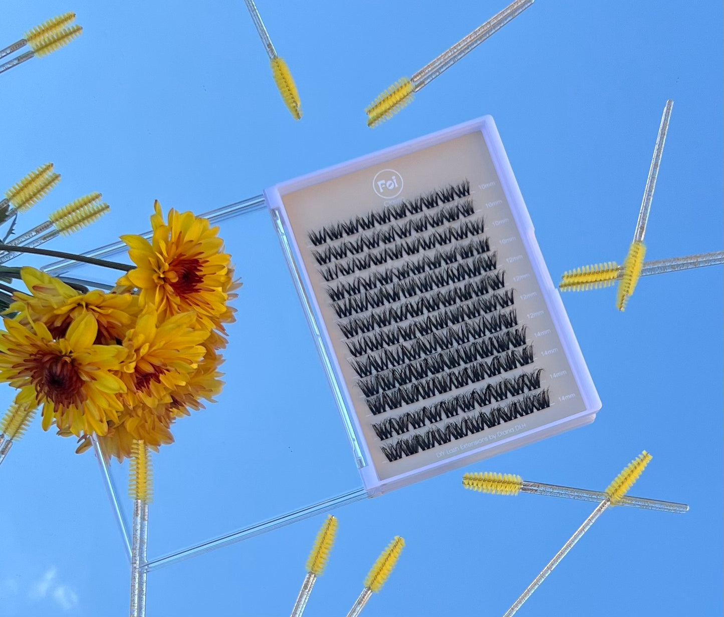 Long box CLASSIC DIY cluster Lashes